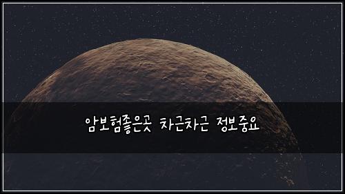 암보험좋은곳 차근차근 정보중요