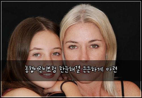 농협어린이보험 한눈해결  든든하게 마련