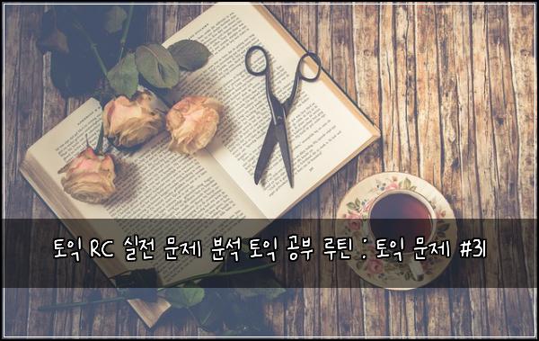 토익 RC 실전 문제 분석 토익 공부 루틴 : 토익 문제 #31