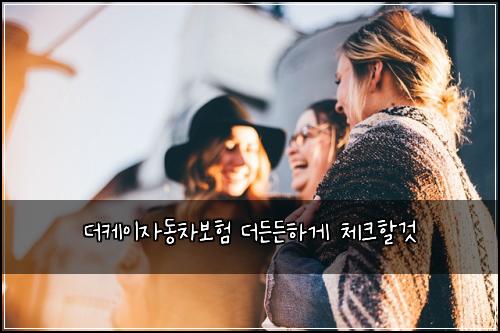 ๋์ผ์ด์๋์ฐจ๋ณดํ ๋๋ ๋ ํ๊ฒ ์ฒดํฌํ ๊ฒ