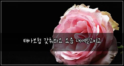 태아보험 갖춰봐요  요즘 대세믿고비교