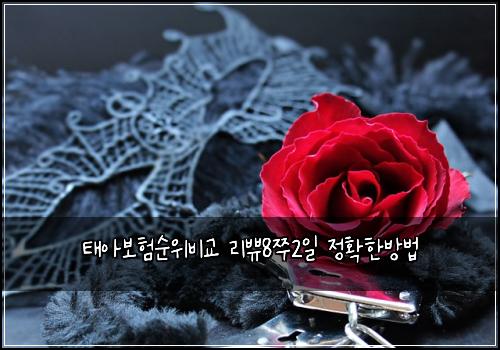 태아보험순위비교 리쀼8쭈2일 정확한방법