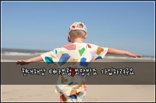 νλν΄μ νμ보ν 보μ₯λ°μ£ κ°μ
νλ €κ΅¬μ