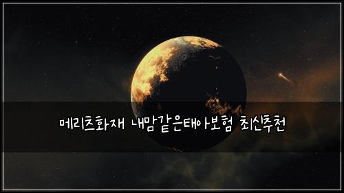 ๋ฉ๋ฆฌ์ธ ํ์ฌ ๋ด๋ง๊ฐ์ํ์๋ณดํ ์ต์ ์ถ์ฒ