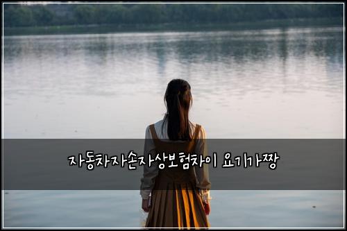 μλμ°¨μμμμ보νμ°¨μ΄ μκΈ°κ°μ§±