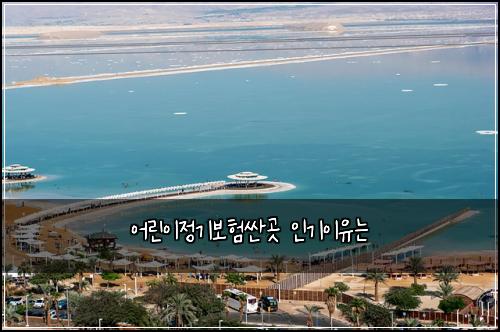 어린이정기보험싼곳 인기이유는