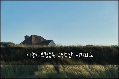 ์๋์ฐจ๋ณดํ๋ฑ๋ก ๊ณ ๋ฏผ๊ทธ๋ง ์ง์ผ๋ด์