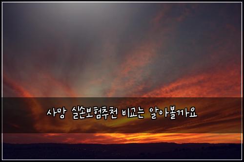 ์ฌ๋ง ์ค์๋ณดํ์ถ์ฒ ๋น๊ต๋ ์์๋ณผ๊น์