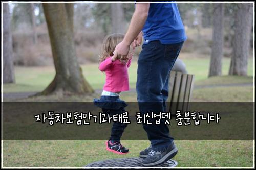 자동차보험만기과태료 최신업뎃 충분합니다