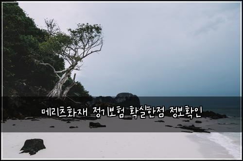 메리츠화재 정기보험 확실한점  정보확인
