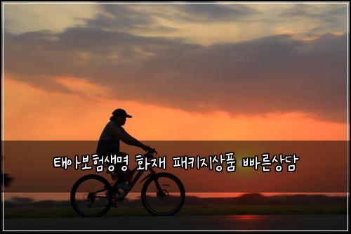 ํ์๋ณดํ์๋ช
ํ์ฌ ํจํค์ง์ํ ๋น ๋ฅธ์๋ด