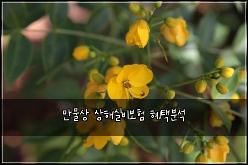 만물상 상해실비보험 혜택분석 