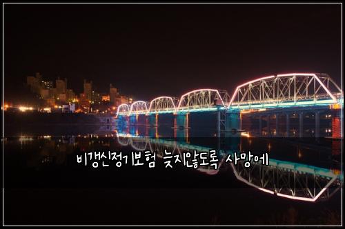 비갱신정기보험 늦지않도록  사망에