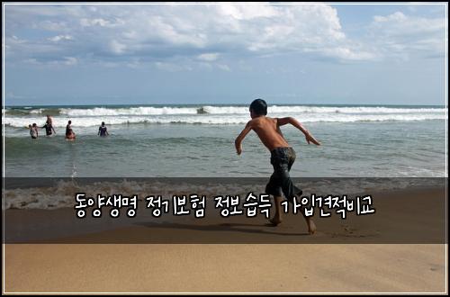 동양생명 정기보험 정보습득  가입견적비교
