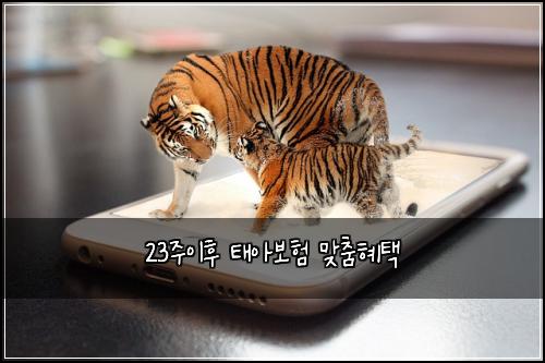23주이후 태아보험 맞춤혜택 