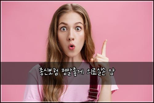 종신보험 정말좋게  의료실손 암
