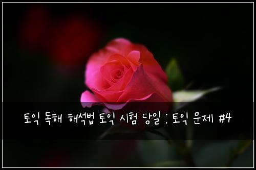토익 독해 해석법 토익 시험 당일 : 토익 문제 #4