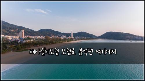태아실비보험 보험료 분석편 여기에서