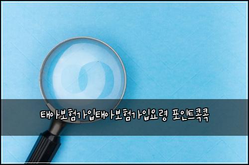 태아보험가입태아보험가입요령 포인트콕콕