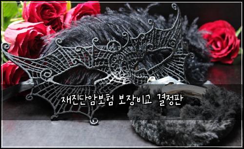 μ¬μ§λ¨μ보ν 보μ₯λΉκ΅ κ²°μ ν