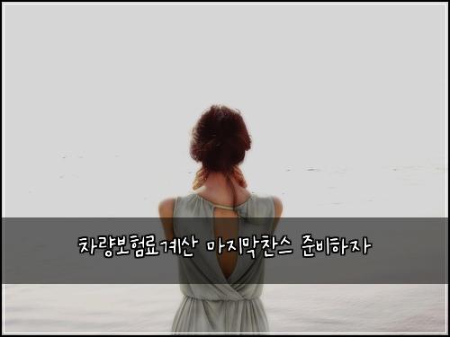 차량보험료계산 마지막찬스 준비하자