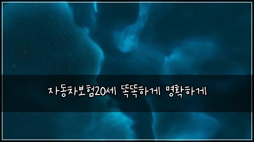 ์๋์ฐจ๋ณดํ20์ธ ๋๋ํ๊ฒ ๋ช
ํํ๊ฒ