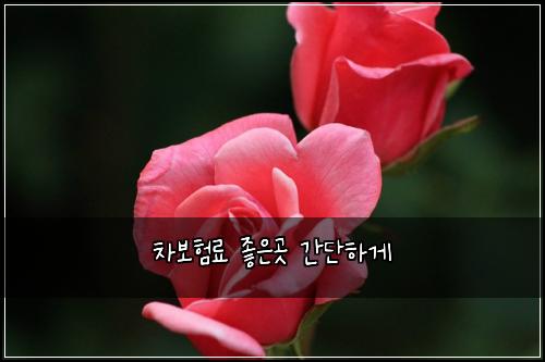 ์ฐจ๋ณดํ๋ฃ ์ข์๊ณณ ๊ฐ๋จํ๊ฒ