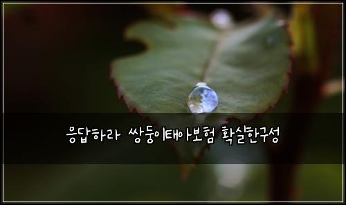 ์๋ตํ๋ผ ์๋ฅ์ดํ์๋ณดํ ํ์คํ๊ตฌ์ฑ