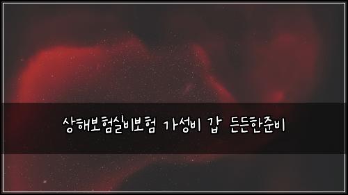 상해보험실비보험 가성비 갑 든든한준비