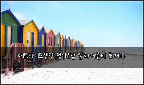 메트라이프생명 정기보험 알차게준비  최저가