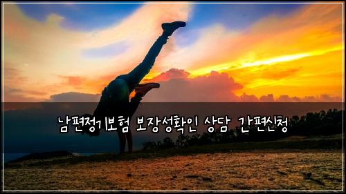남편정기보험 보장성확인  상담 간편신청