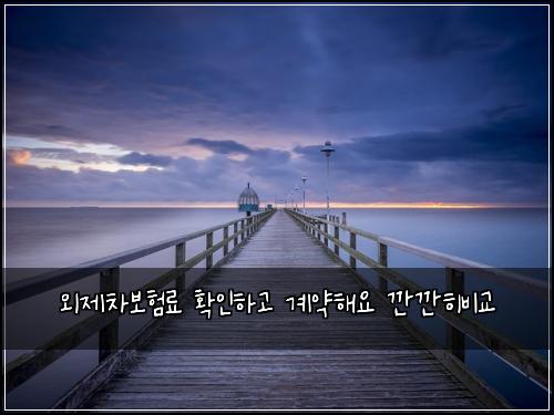 ์ธ์ ์ฐจ๋ณดํ๋ฃ ํ์ธํ๊ณ ๊ณ์ฝํด์ ๊น๊นํ๋น๊ต