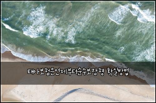 태아보험은언제부터순수보장형 확실방법
