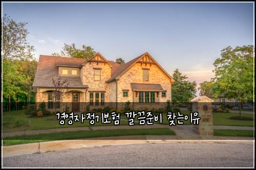경영자정기보험 깔끔준비  찾는이유