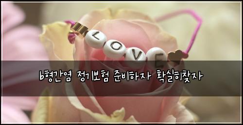 b형간염 정기보험 준비하자  확실히찾자