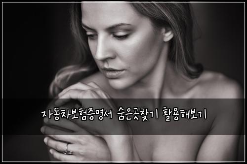 자동차보험증명서 숨은곳찾기 활용해보기