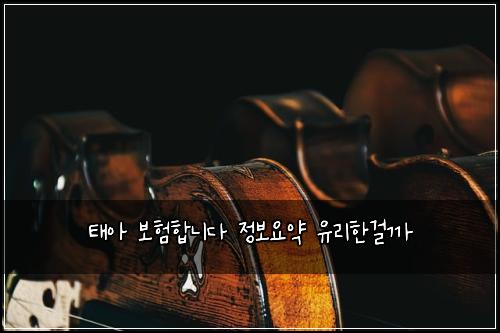 νμ 보νν©λλ€ μ 보μμ½ μ 리νκ±ΈκΉ