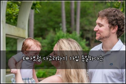 태아보험 다고려하기  가입 동일하다는