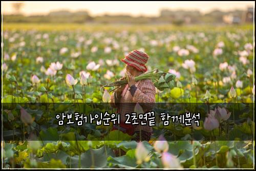 암보험가입순위 2초면끝 함께분석