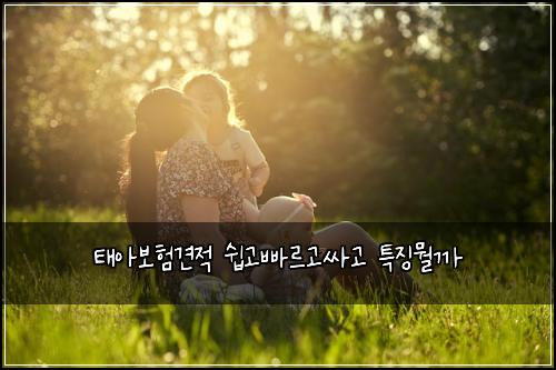 태아보험견적 쉽고빠르고싸고 특징뭘까