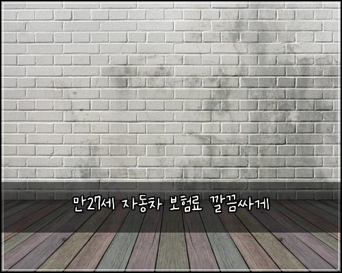 만27세 자동차 보험료 깔끔싸게