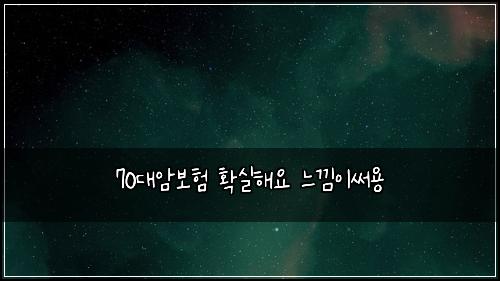 70๋์๋ณดํ ํ์คํด์ ๋๋์ด์จ์ฉ