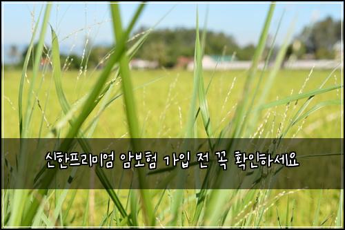 신한프리미엄 암보험 가입 전 꼭 확인하세요