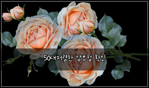 50대저렴한 암보험 확인 
