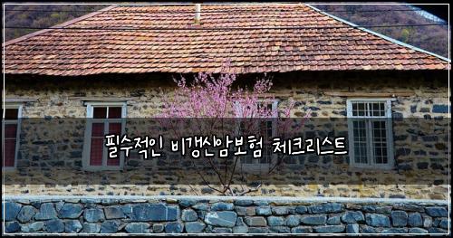 필수적인 비갱신암보험 체크리스트