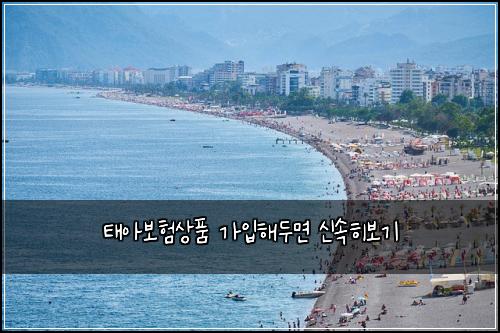 태아보험상품 가입해두면 신속히보기