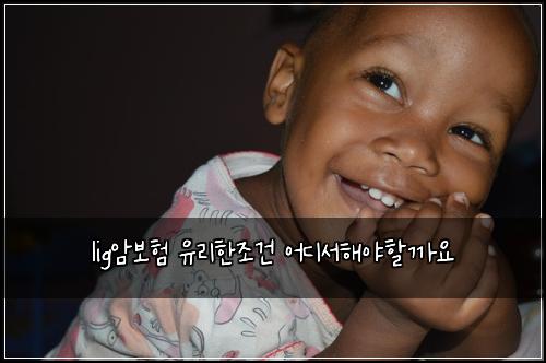 lig암보험 유리한조건  어디서해야할까요