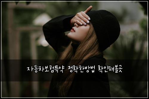 자동차보험특약 정확한방법 확인해볼곳