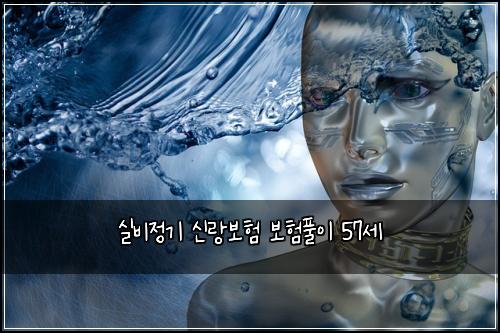 실비정기 신랑보험 보험풀이  57세