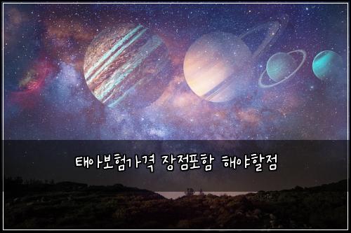 ํ์๋ณดํ๊ฐ๊ฒฉ ์ฅ์ ํฌํจ ํด์ผํ ์ 